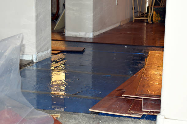 Professional Emergency Water Damage Restoration technician working in Highland, IN